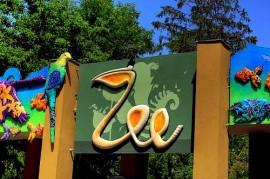 Gradina Zoo Bucuresti