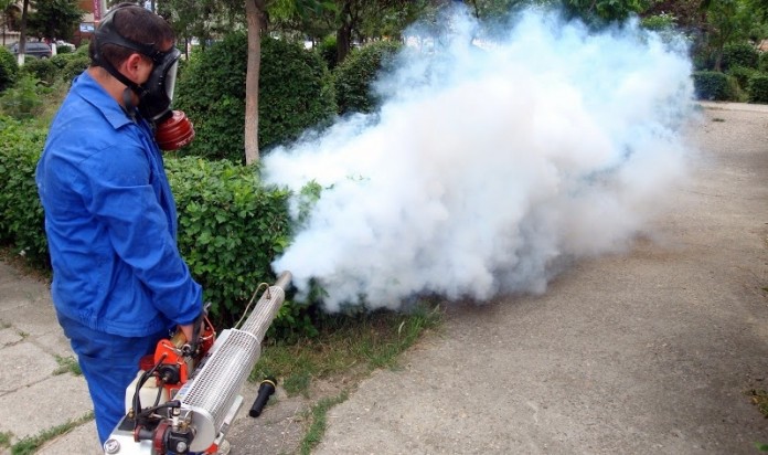 combaterea țânțarilor în București Începe dezinsecția în București