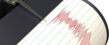 cutremure înregistrate în Vrancea, cutremur