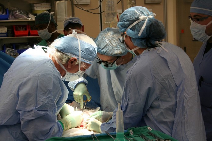 acreditare temporară transplantul de organe în romania transplant de organe donatori de organe