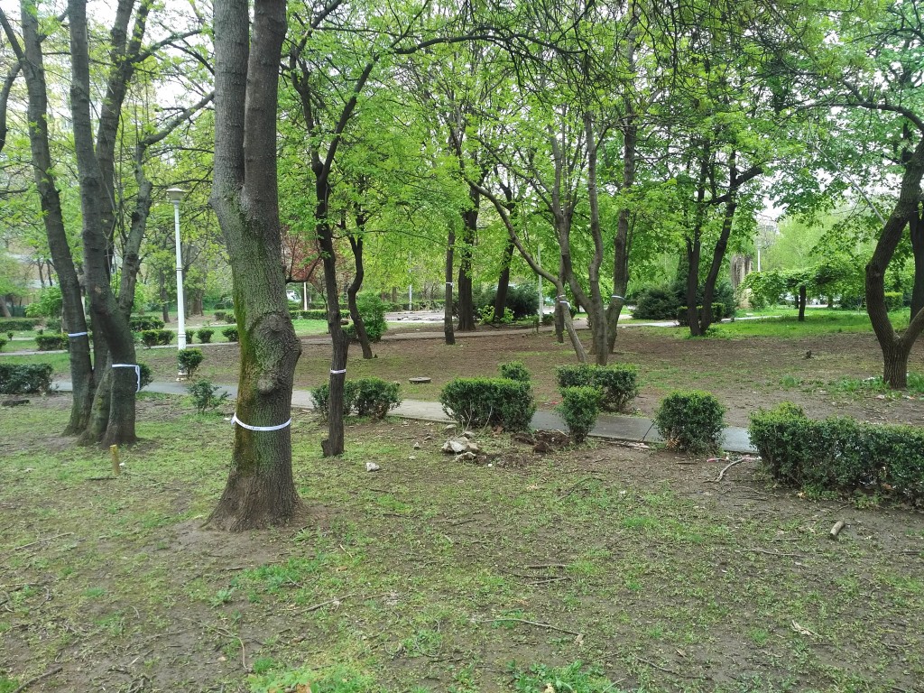 miting în Parcul Brâncuși