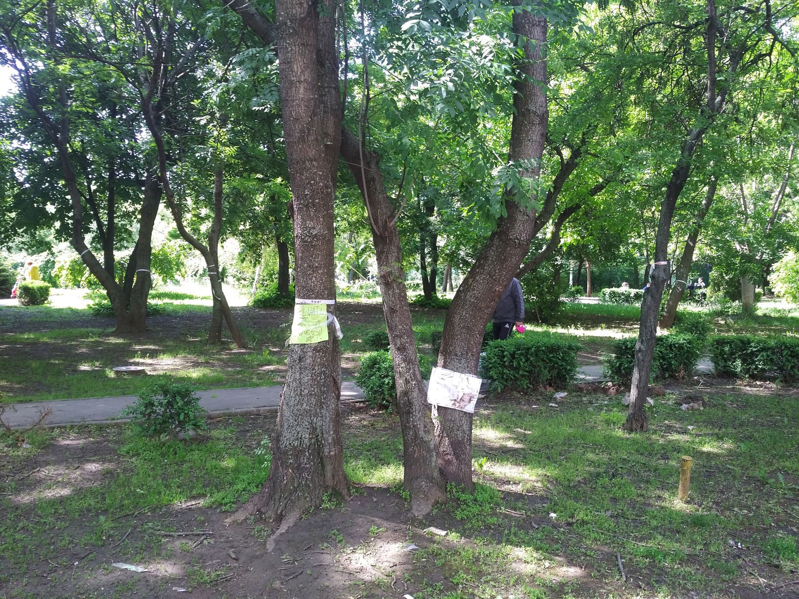 banner în Parcul Brâncuși
