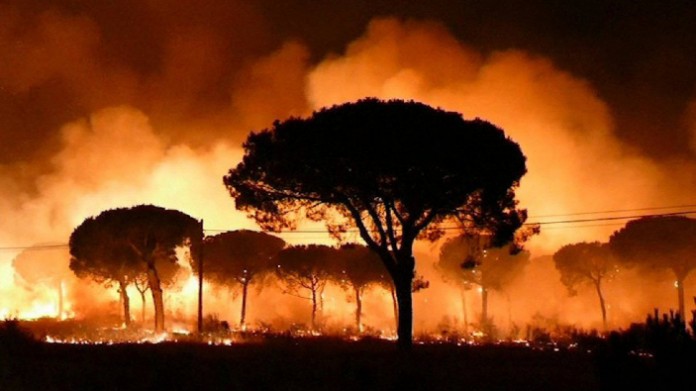 Atentionare incendiu insula Gran Canaria Spania
