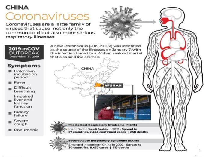 Noul coronavirus, coronavirusul